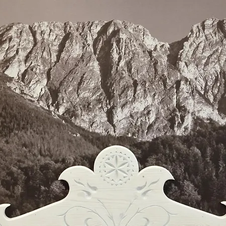 Palider 民宿 扎科帕内