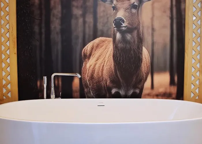 בית אירוח Palider זקופאנה